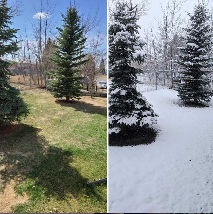 April showers could lead to snow this week Local